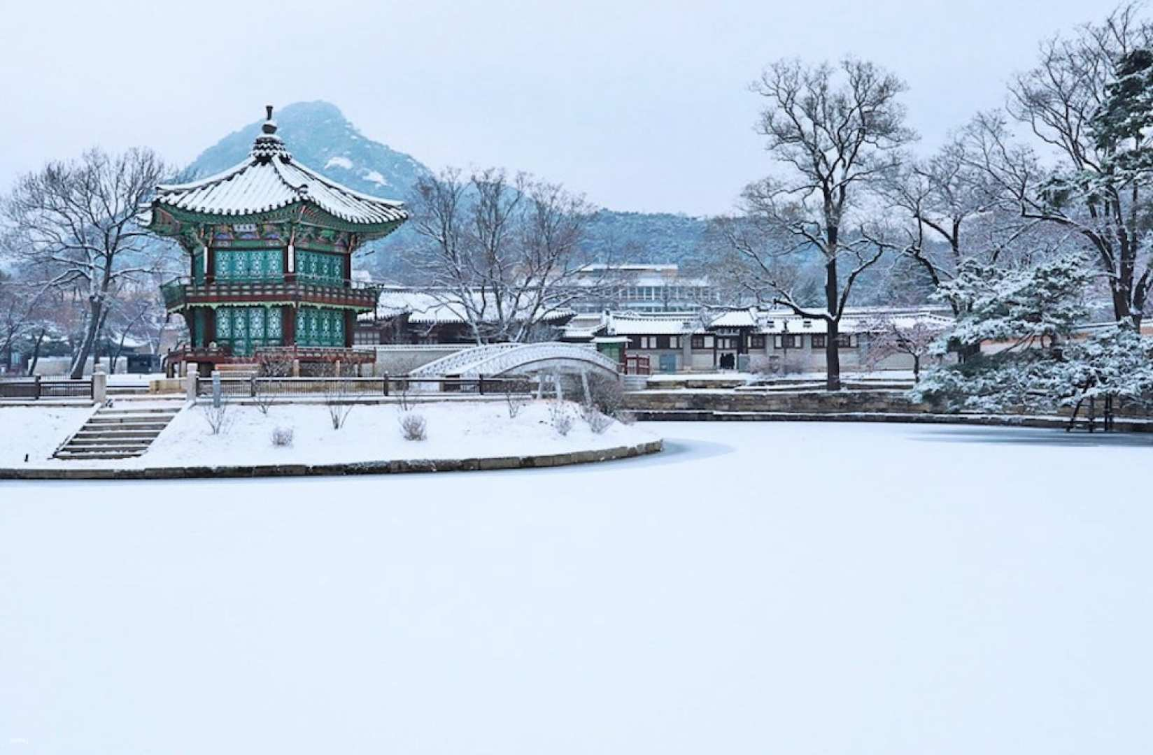 Professional tour guide service | Seoul urban historical and cultural attractions guide service & one-day tour + guide service - Photo 1 of 8